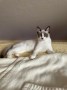 Billy (11)